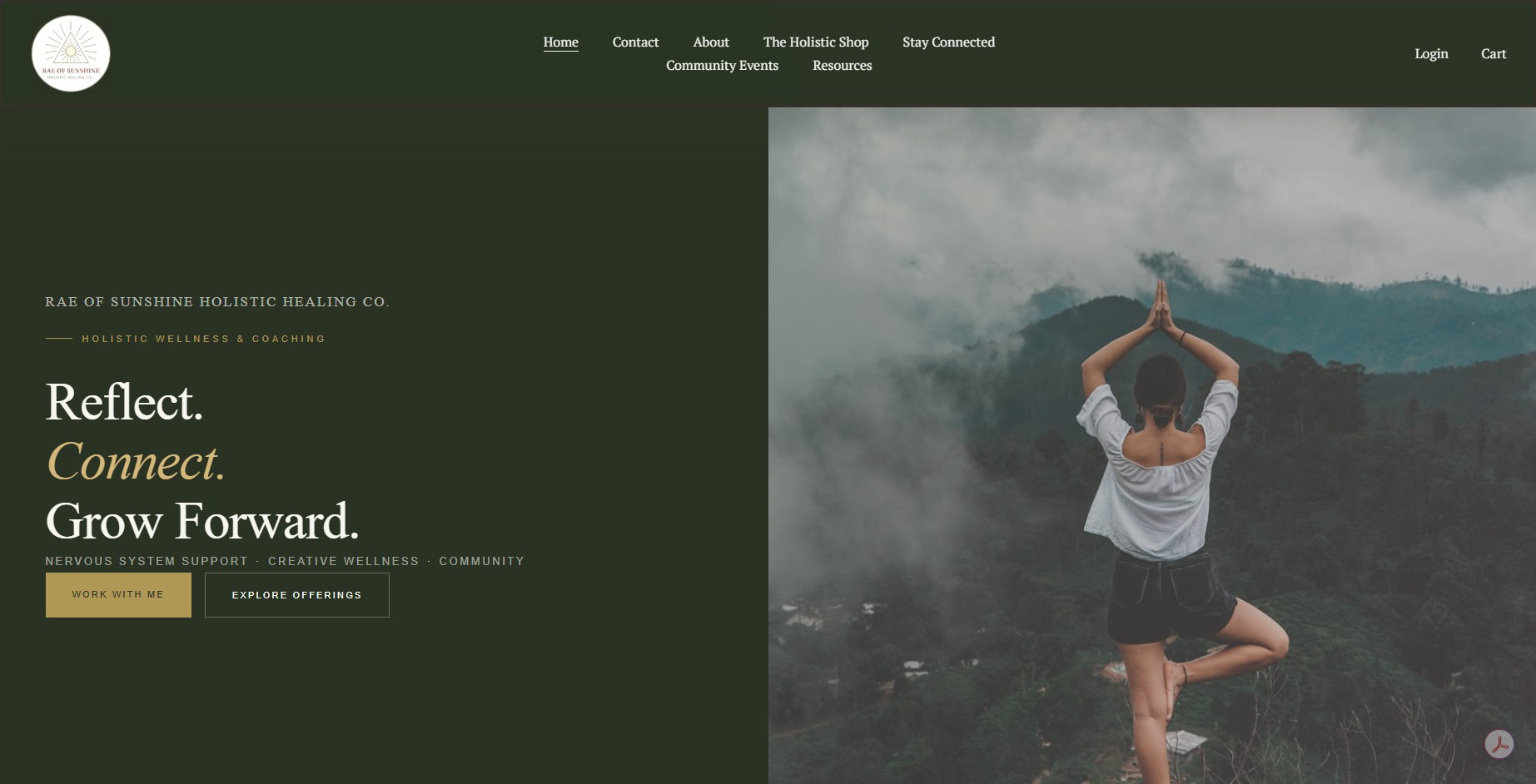 ROSHHCO website homepage redesigned by MyVA on Squarespace